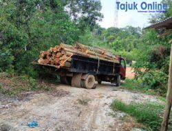 Diduga Penebangan Pohon Hutan Liar Marak Di Jln Trans Barelang Kota Batam