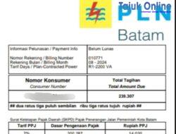 Miris! Hanya Pakai Listrik 66 kWh Sebulan di Batam, Masyarakat Harus Bayar Rp 239.307