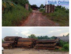 Tanpa Plank, Gudang Kayu Balok Beroperasional Bebas di Taman Lestari