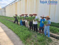 Dukung Program Ketahanan Pangan Rutan Batam Berhasil Panen 140kg Sayur Kangkung dan Bayam