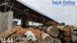Diduga Izin Usaha Ilegal dan Pengusaha Kayu di Sipahutar Arogansi dan Jalan Rusak, Lingkungan Terancam Pencemaran, Hukum Diatas Diduga Ditutup Mata…!?