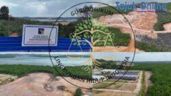 Meski Lahan Dalam Pengawasan BP Batam, Penimbunan Mangrove di Tanjung Piayu Diduga Tetap Berjalan Tanpa Izin