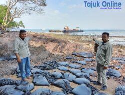 Hari Ketiga Pascakandas, Limbah B3 Masih Menghitamkan Pantai Dangas GHLHI : Dugaan Pidana Lingkungan Menguat, Rujuk UU PPLH