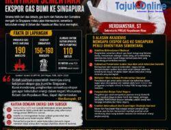 Gas Natuna Bernilai Miliaran Dolar Mengalir ke Singapura, Apa yang Didapat Batam dan Kepri?